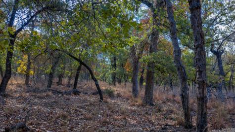 14 Sandstone Lane Seguin TX 78155