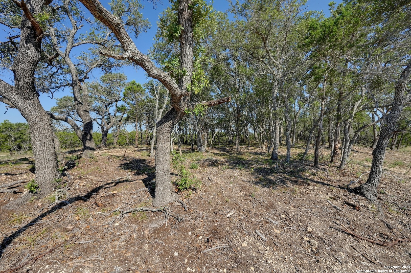 Tract 3 Pierson Road Blanco TX 78606