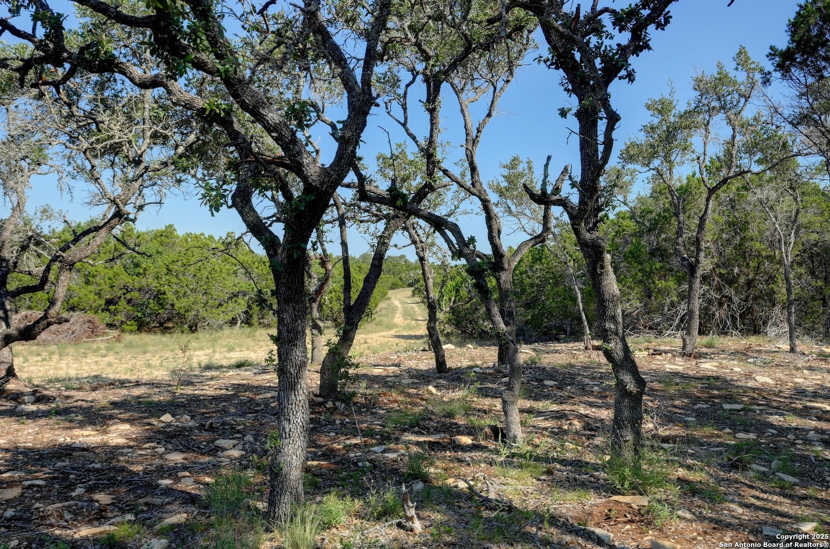 Tract 3 Pierson Road Blanco TX 78606