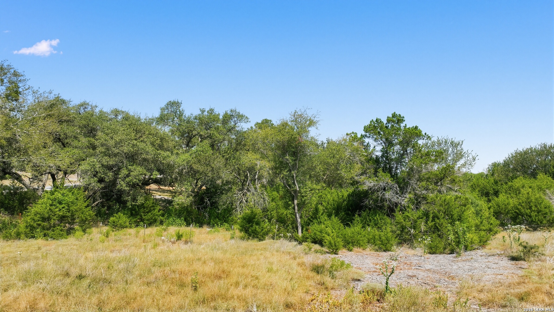 1007 Deer Run Pass Canyon Lake TX 78133