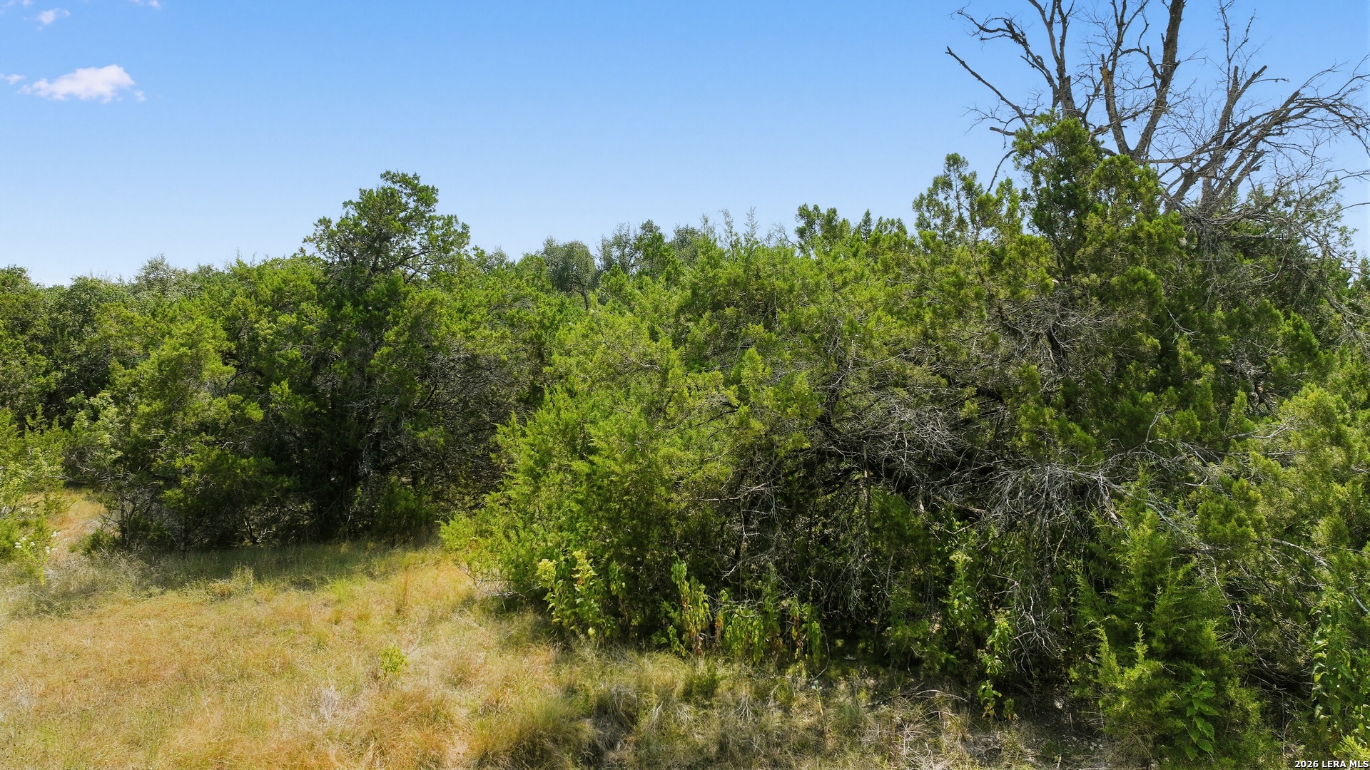 1007 Deer Run Pass Canyon Lake TX 78133