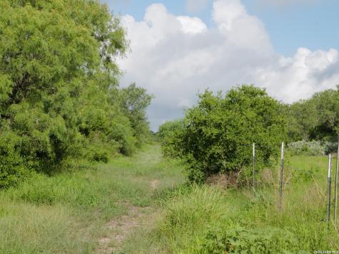 Tract 8 Tbd Cr 208 Hobson TX 78117