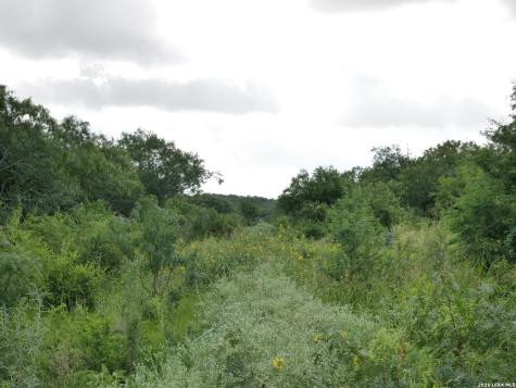 Tract 8 Tbd Cr 208 Hobson TX 78117