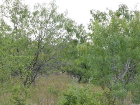 Tract 8 Tbd Cr 208 Hobson TX 78117