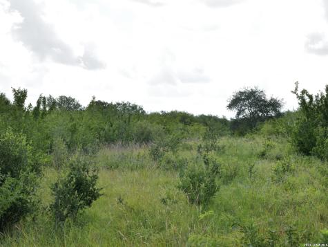 Tract 8 Tbd Cr 208 Hobson TX 78117