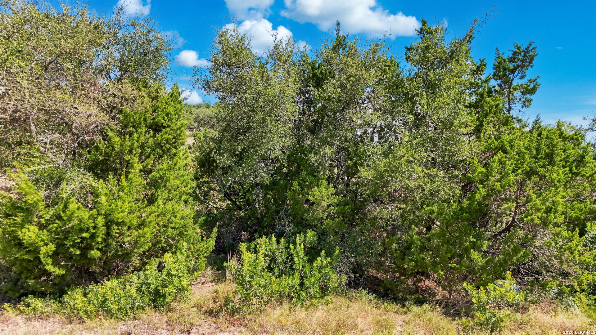 Lot 6 Chittim Canyon San Antonio TX 78255
