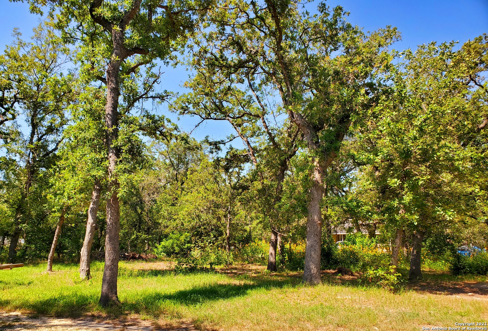 179 Hickory Hill Drive La Vernia TX 78121