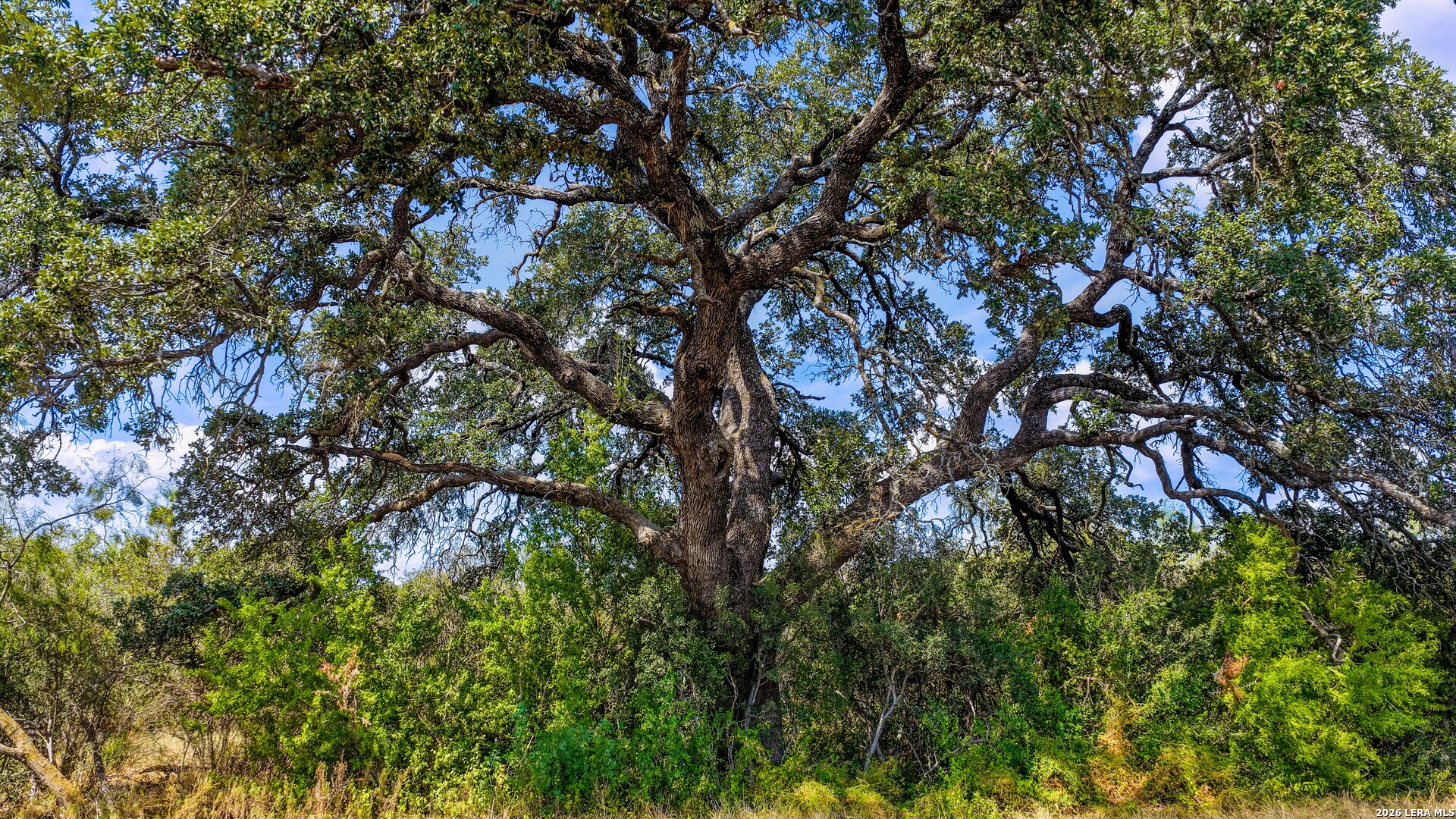 Cr 265 Tx Hondo TX 78861