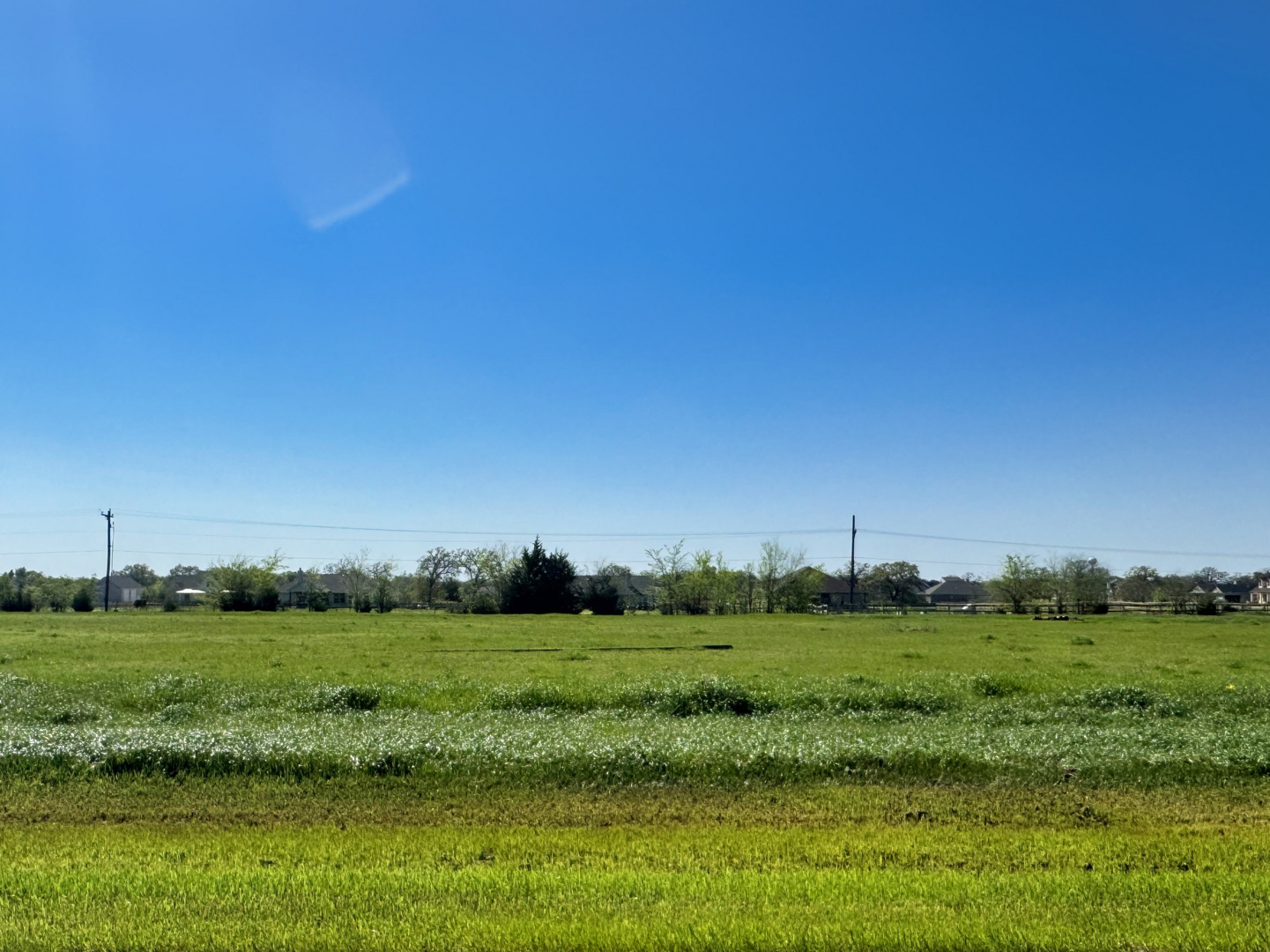 9917 Panther Creek Drive Iola TX 77861