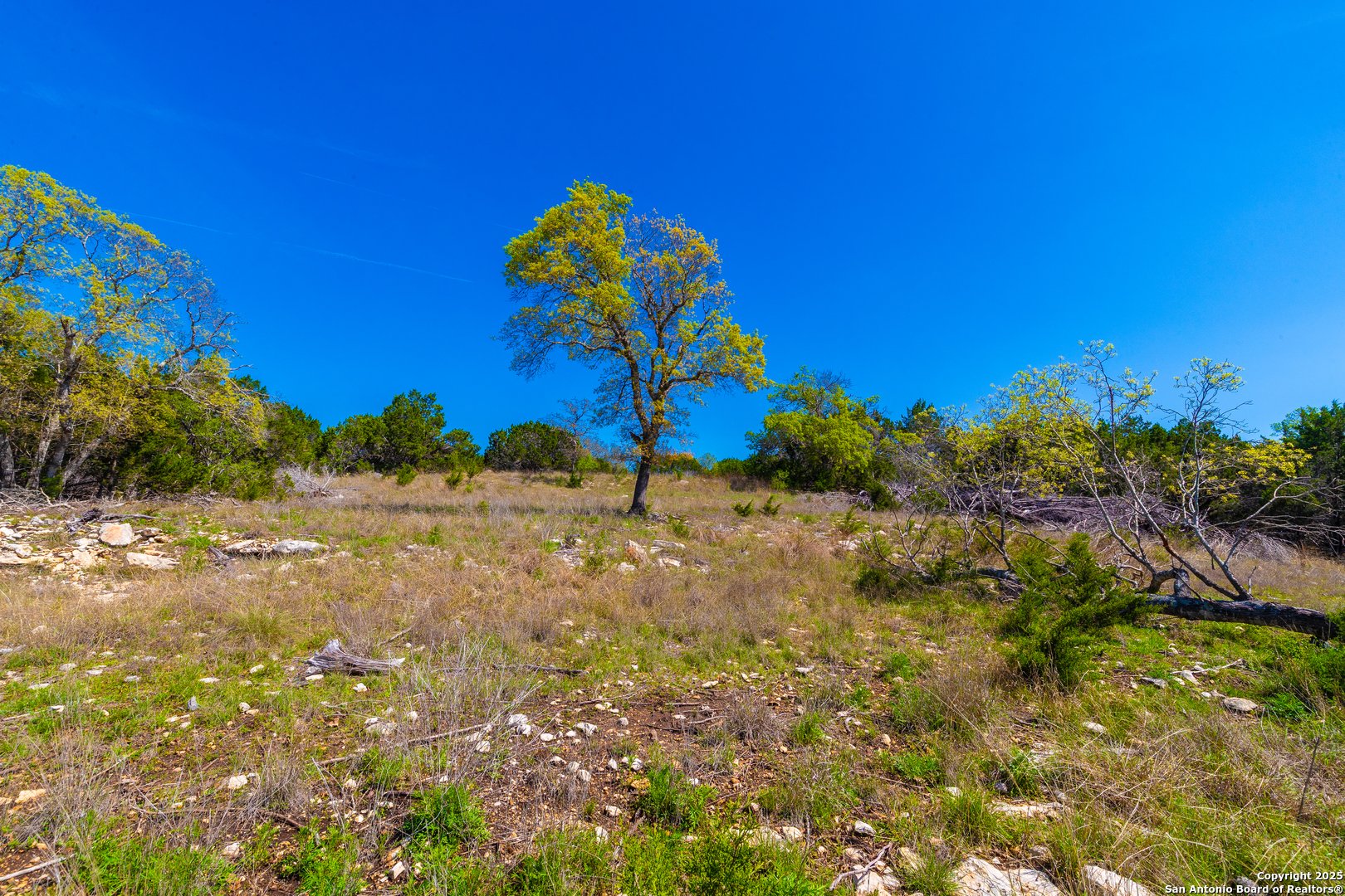 231 Greystone Boerne TX 78006