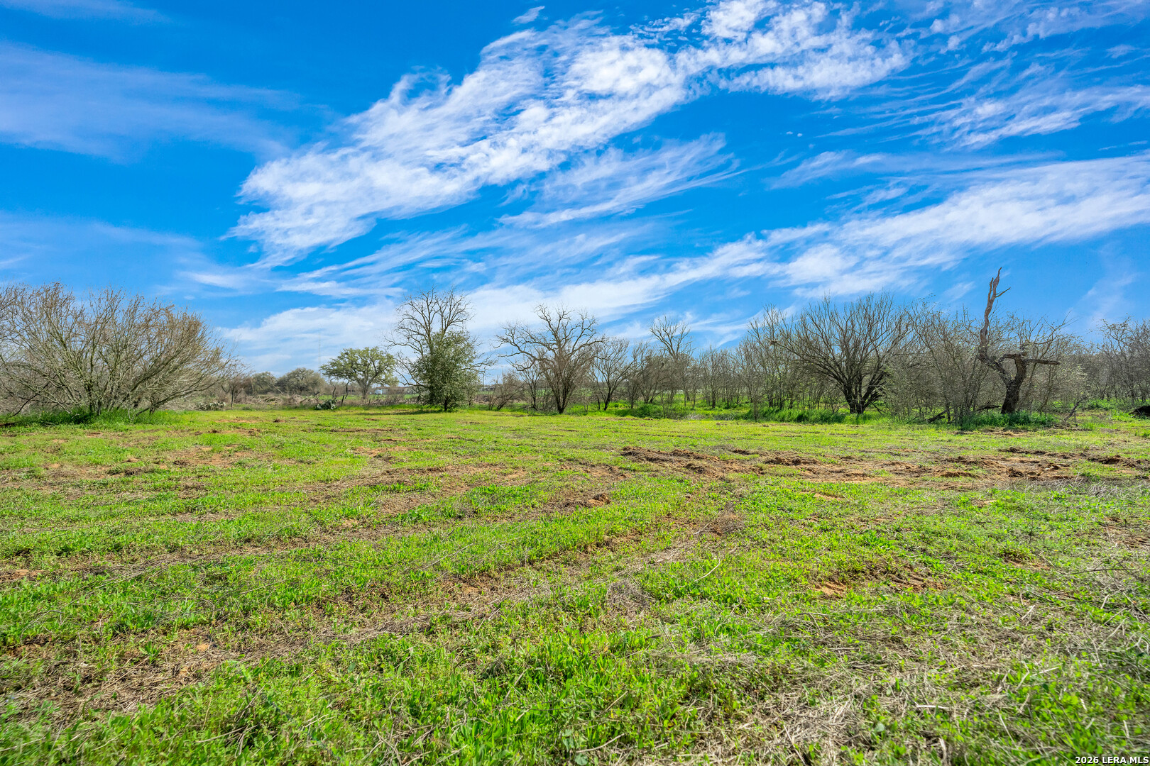 116 Tecolote Lane Floresville TX 78114