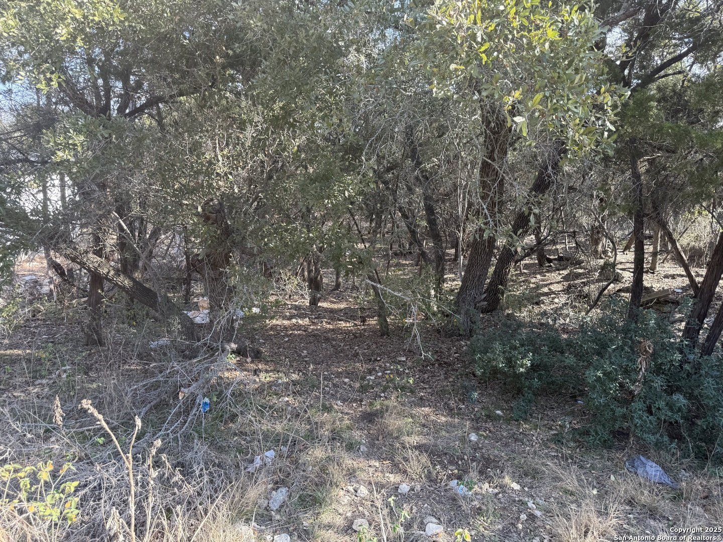 686 Hillclimb Canyon Lake TX 78133