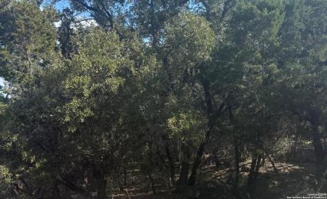686 Hillclimb Canyon Lake TX 78133