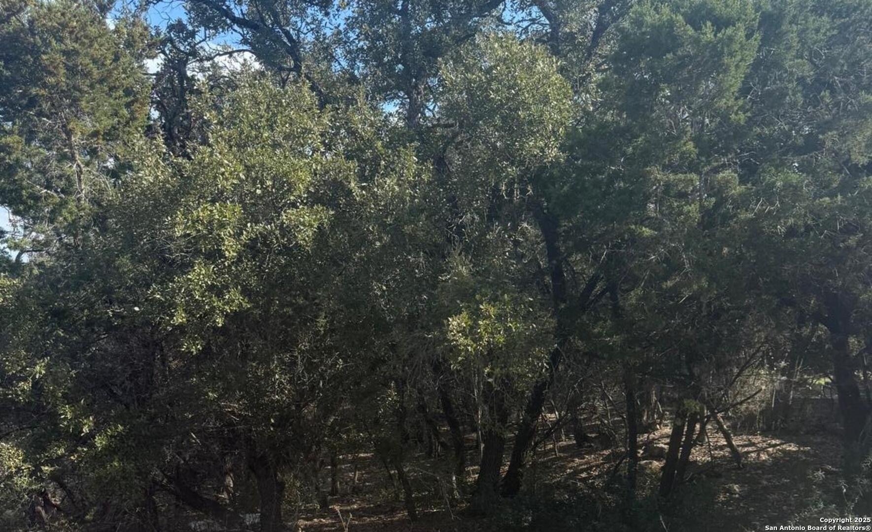 686 Hillclimb Canyon Lake TX 78133