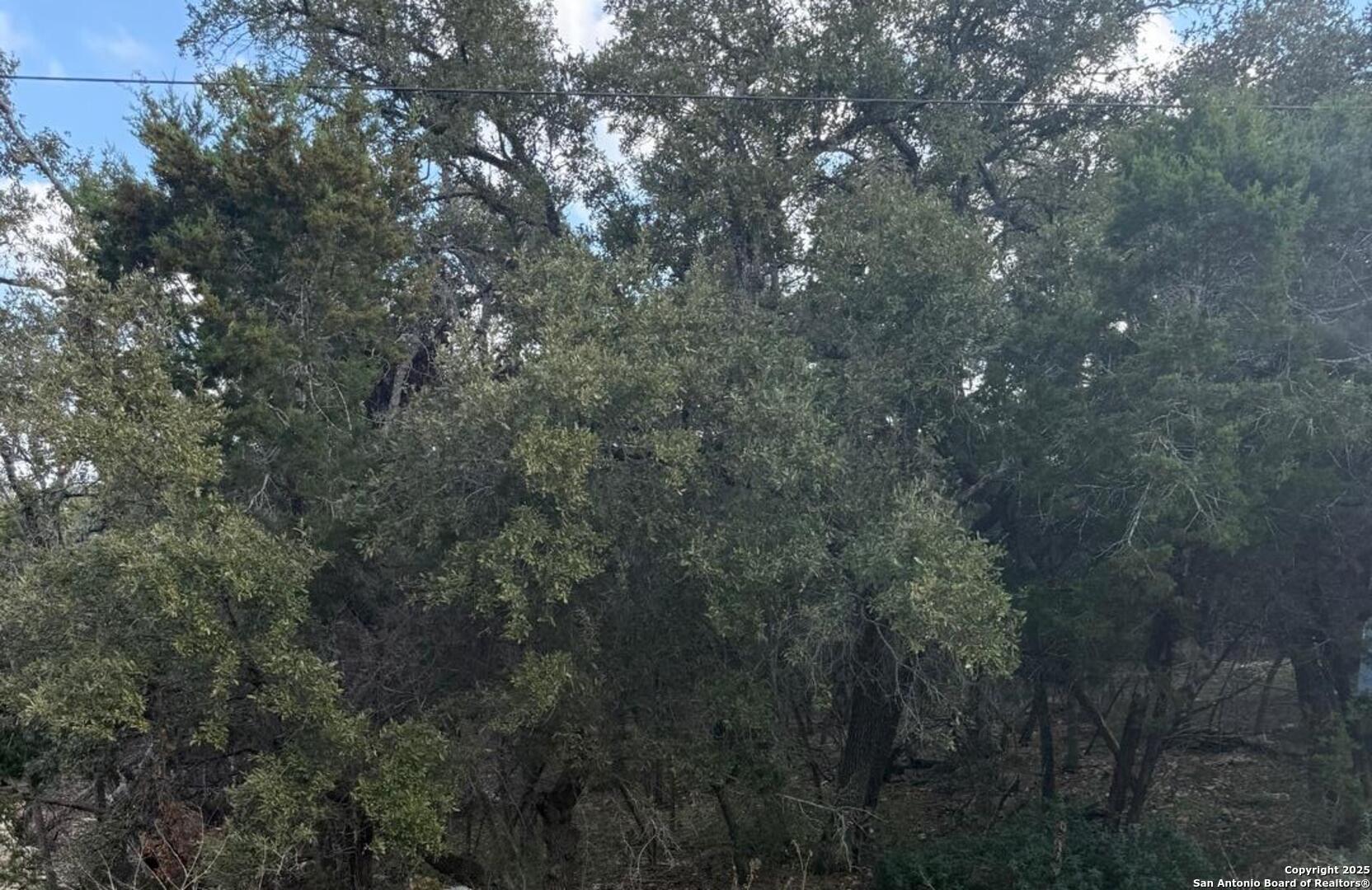 686 Hillclimb Canyon Lake TX 78133