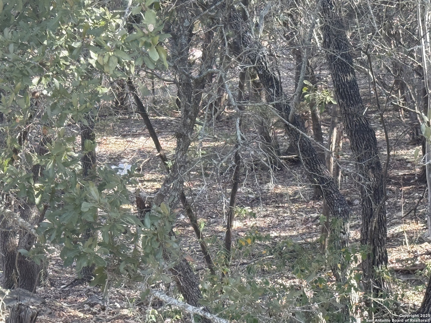 686 Hillclimb Canyon Lake TX 78133