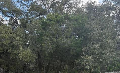 686 Hillclimb Canyon Lake TX 78133