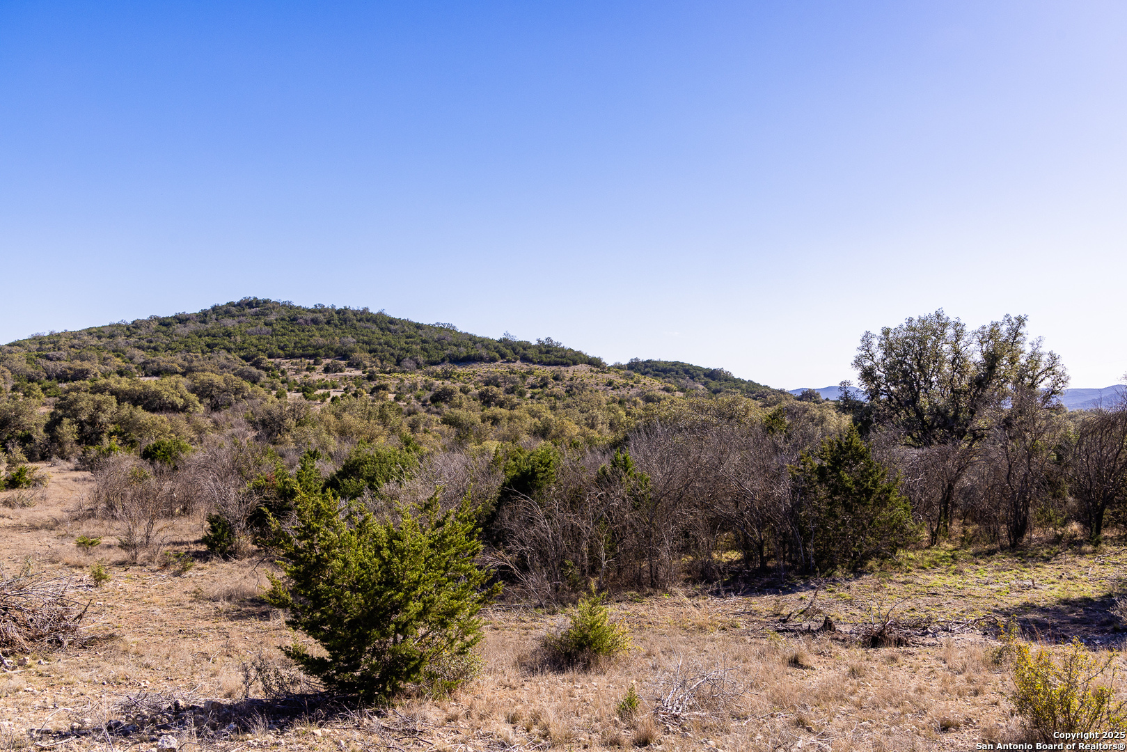 2350 Little Dry Frio Road Rio Frio TX 78879