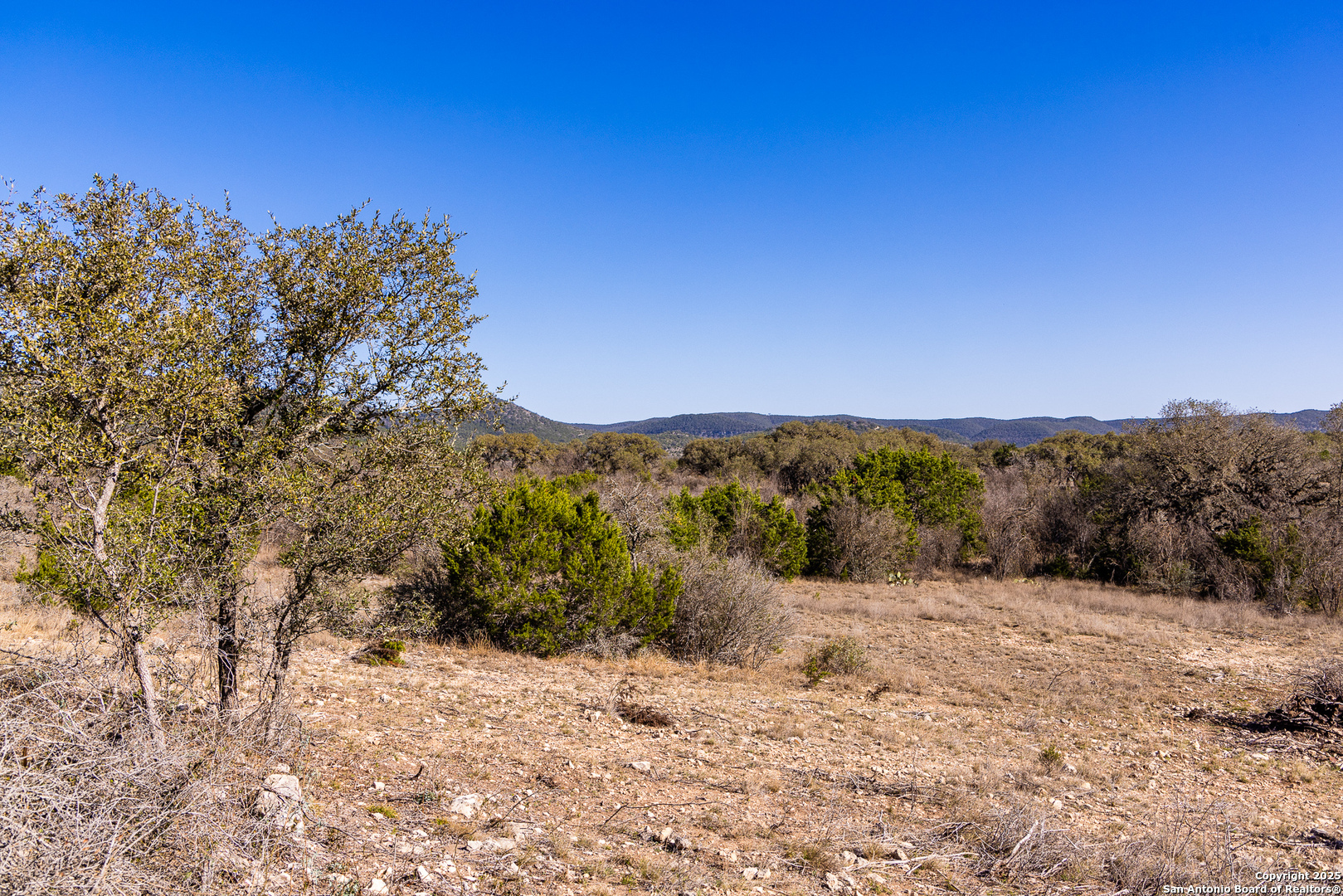 2350 Little Dry Frio Road Rio Frio TX 78879