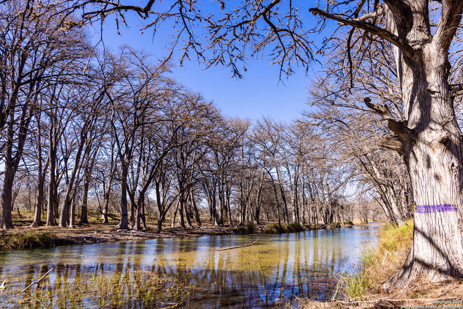 2350 Little Dry Frio Road Rio Frio TX 78879