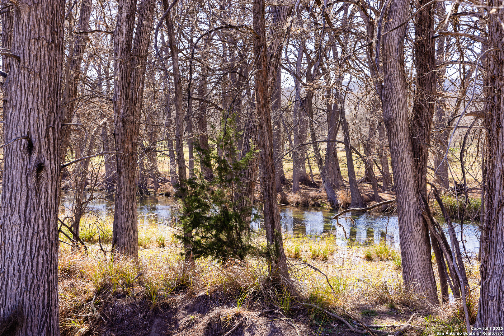 2350 Little Dry Frio Road Rio Frio TX 78879