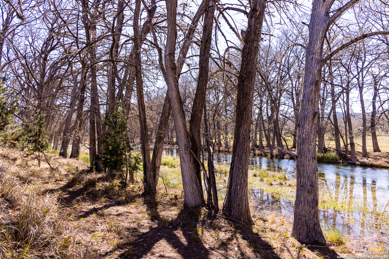 2350 Little Dry Frio Road Rio Frio TX 78879