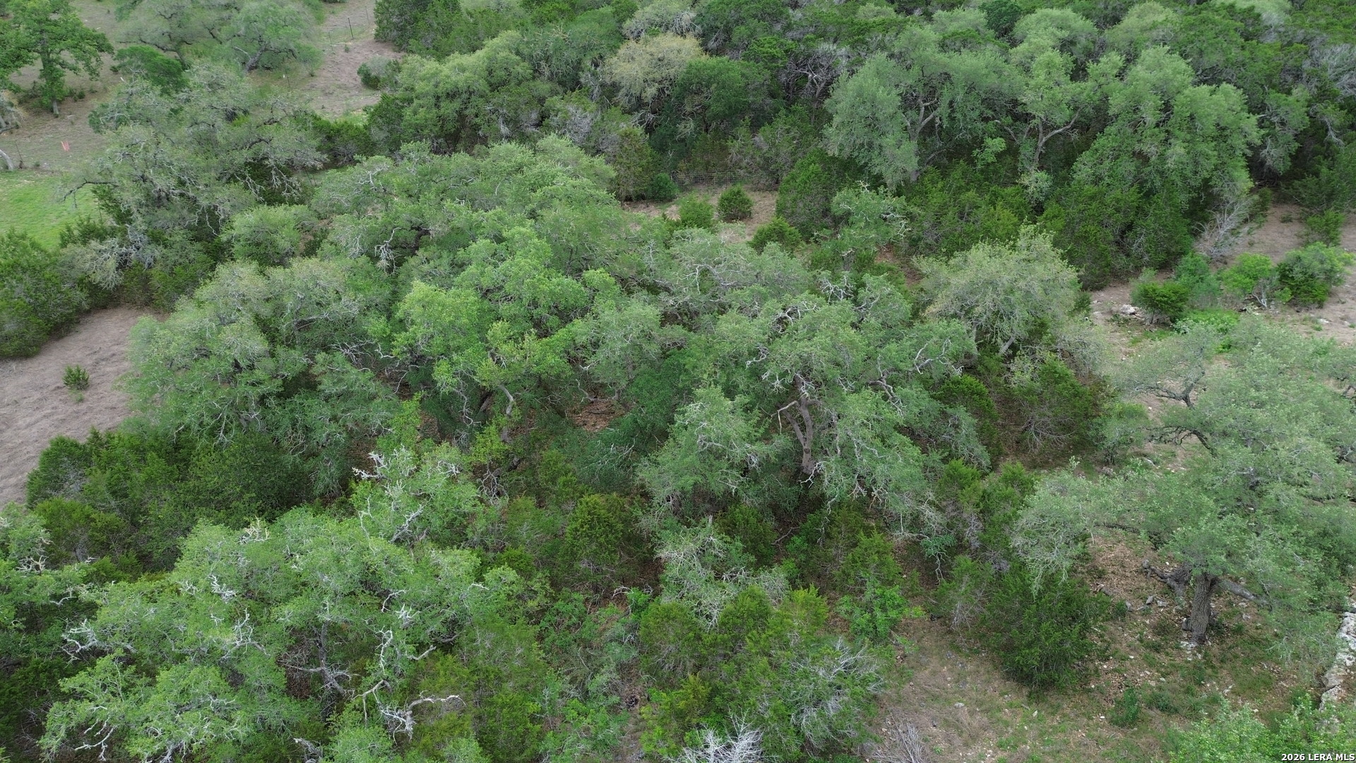 371 Curvatura New Braunfels TX 78132