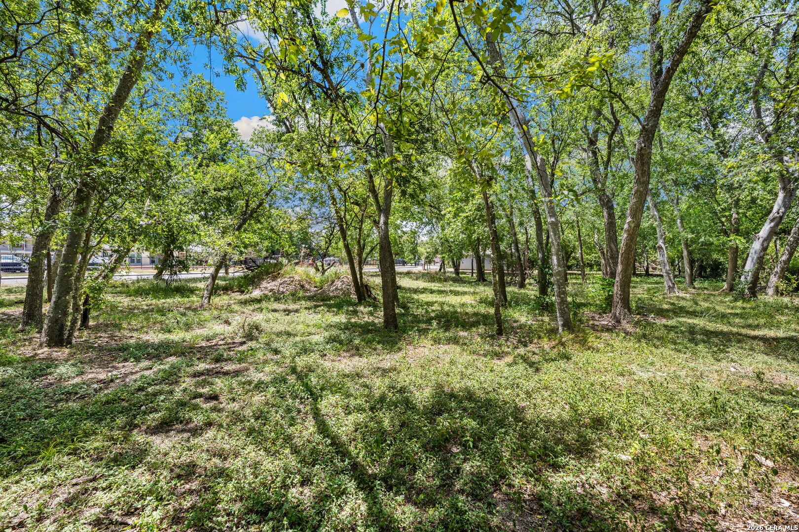 3251 Martin Luther King Drive San Antonio TX 78220