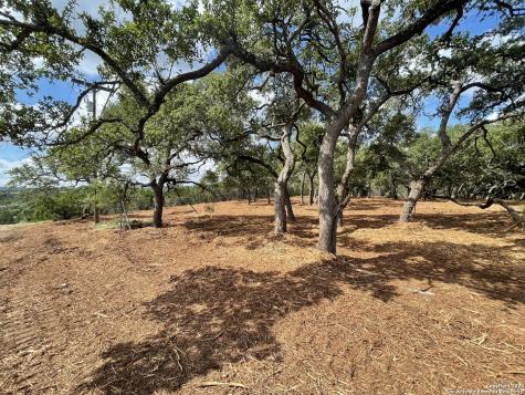 1750 Skyline Drive Canyon Lake TX 78133