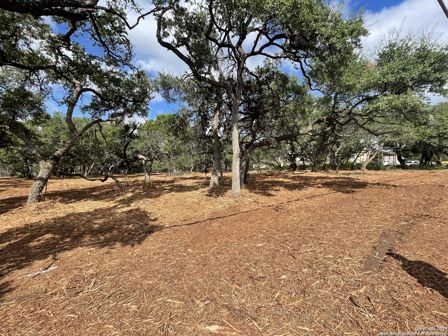 1750 Skyline Drive Canyon Lake TX 78133