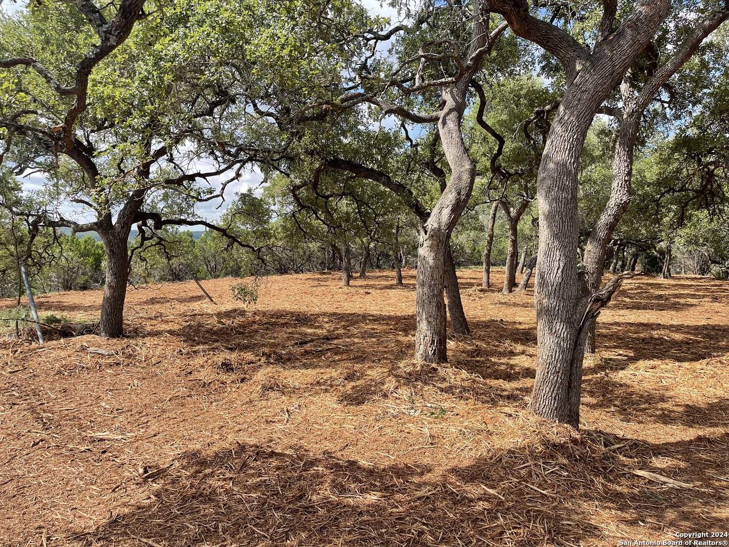 1750 Skyline Drive Canyon Lake TX 78133