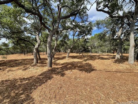 1750 Skyline Drive Canyon Lake TX 78133