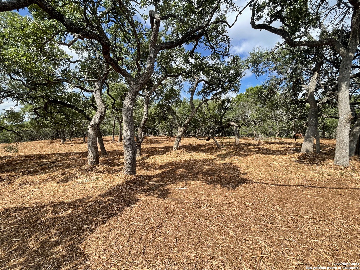 1750 Skyline Drive Canyon Lake TX 78133
