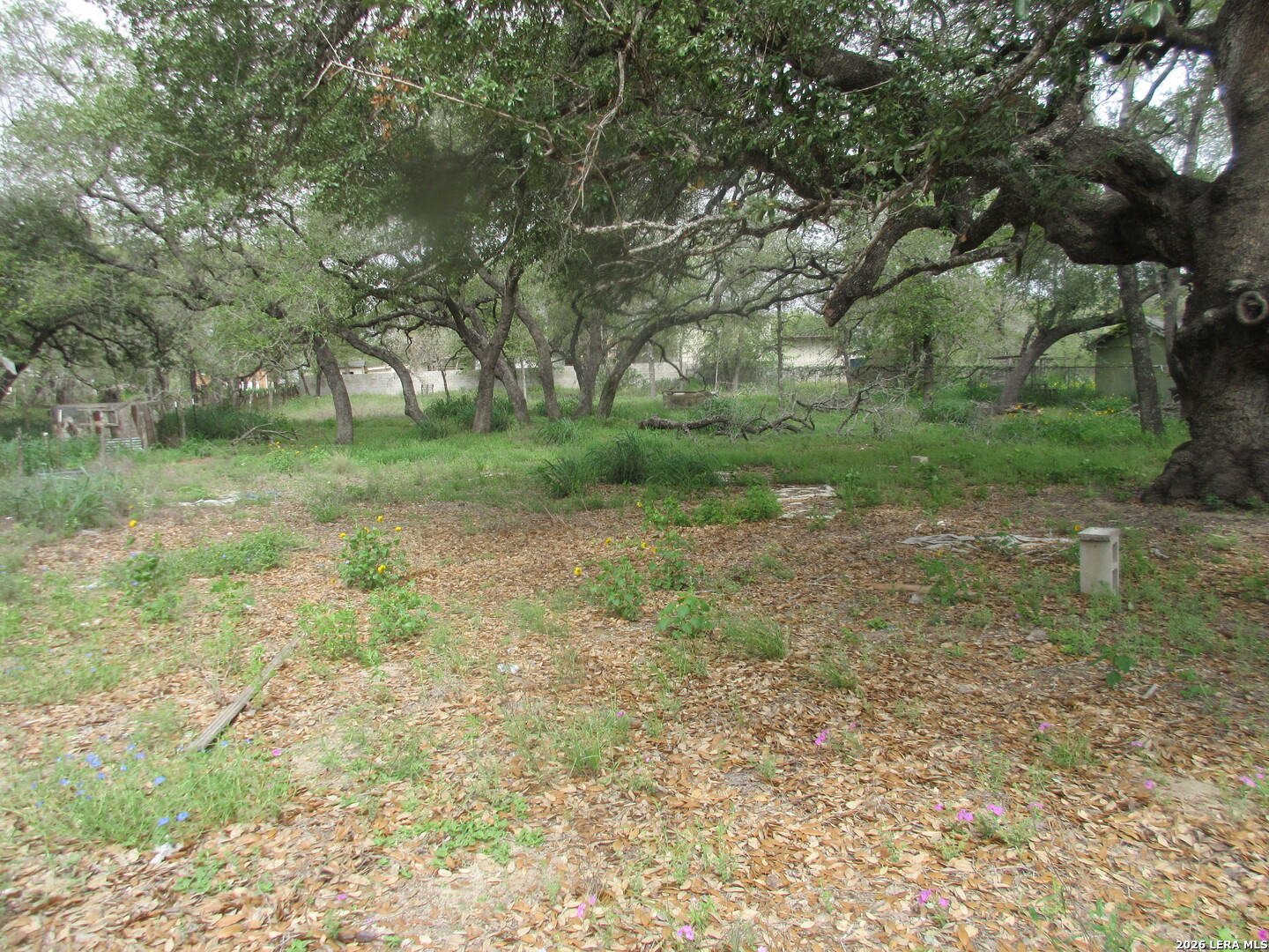 23753 Us Highway 281 So San Antonio TX 78264