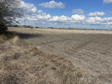 0000 Fm 1349 (39.87 Ac) Skidmore TX 78389