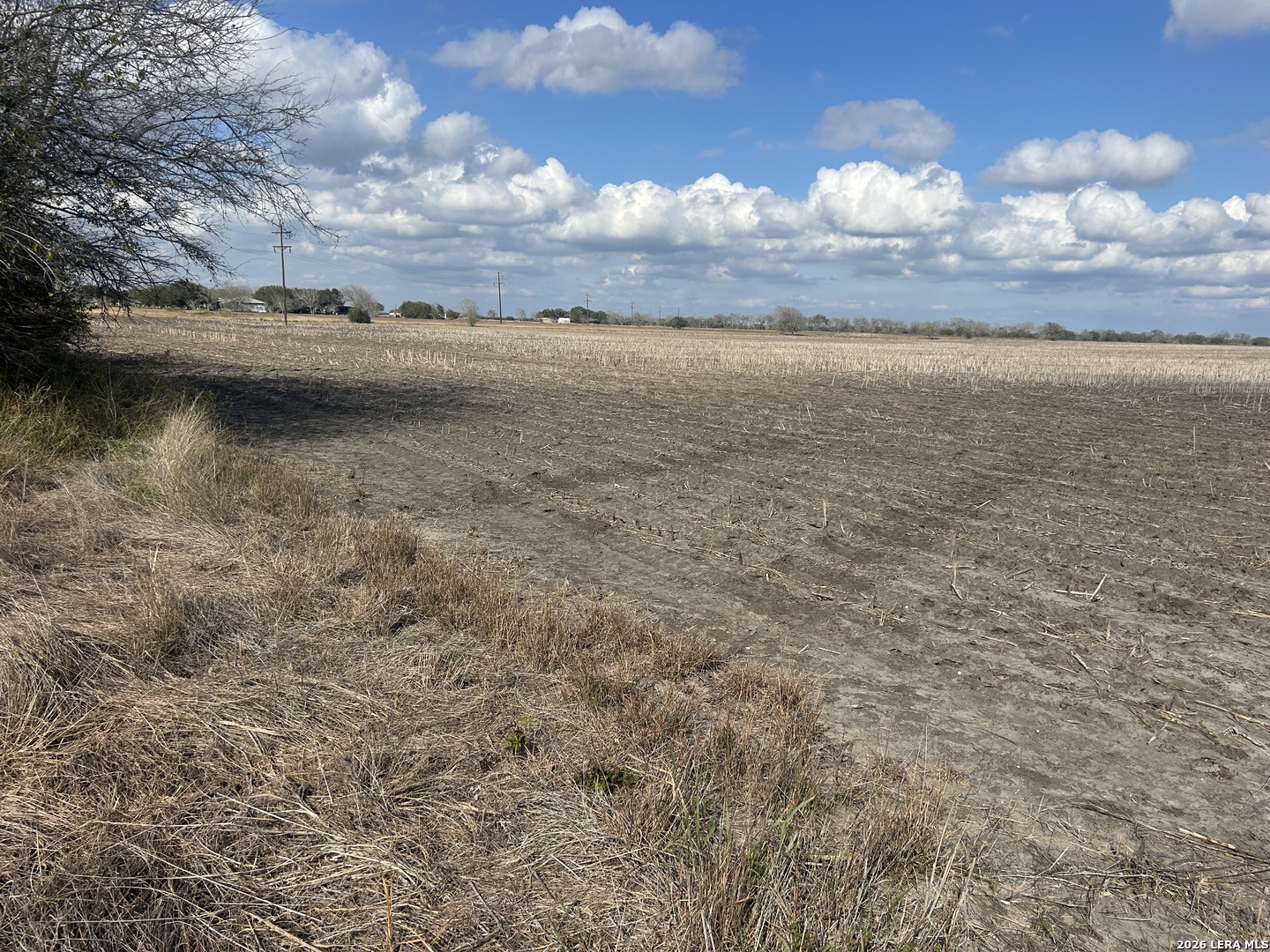 0000 Fm 1349 (39.87 Ac) Skidmore TX 78389
