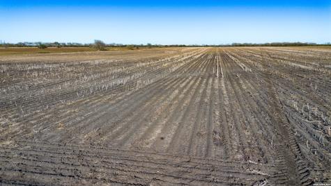0000 Fm 1349 (39.87 Ac) Skidmore TX 78389