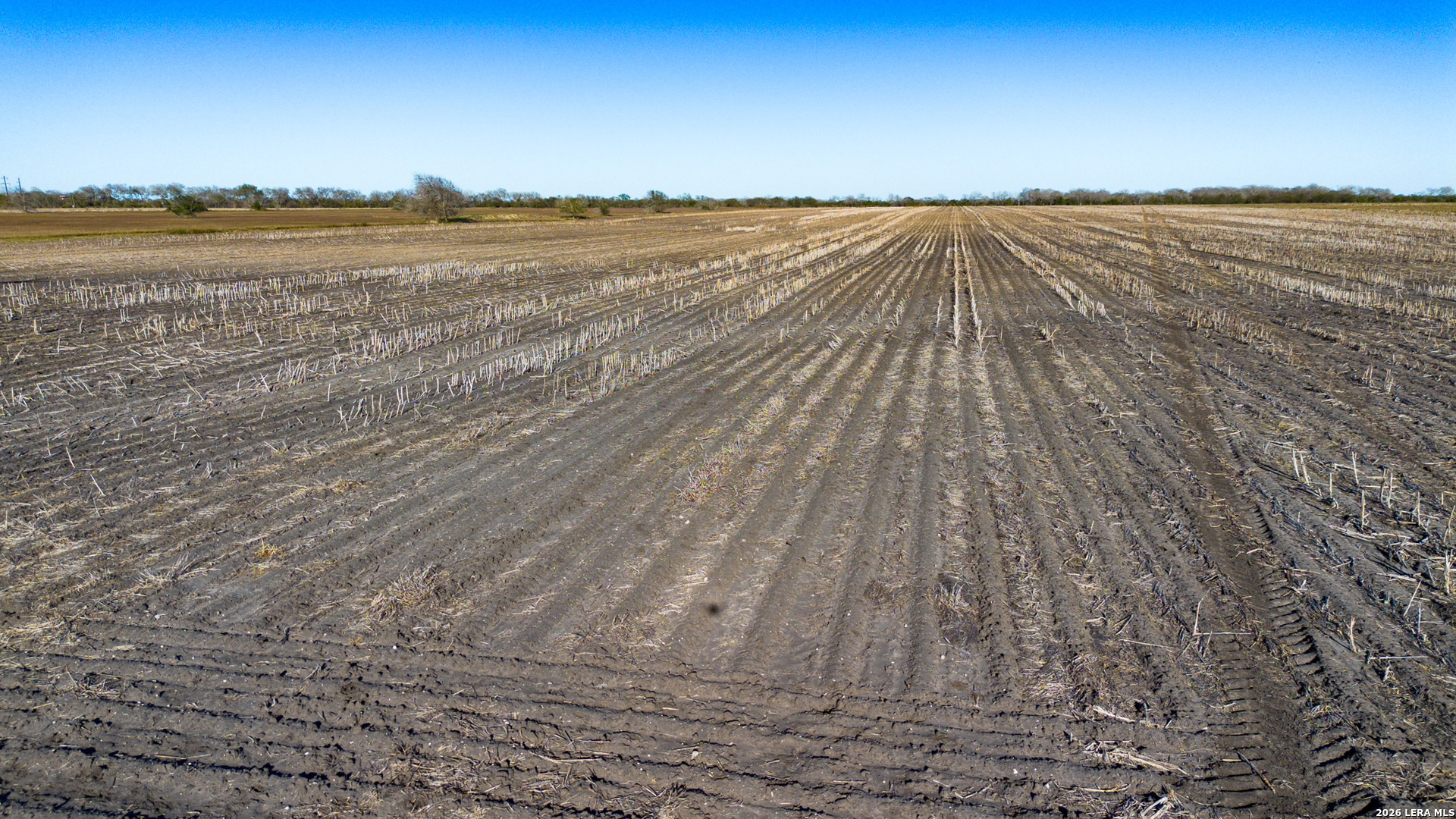 0000 Fm 1349 (39.87 Ac) Skidmore TX 78389