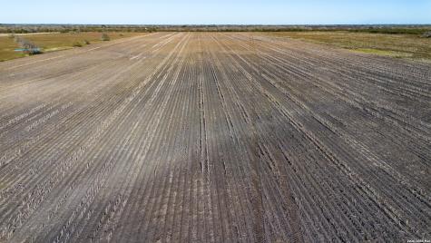0000 Fm 1349 (39.87 Ac) Skidmore TX 78389