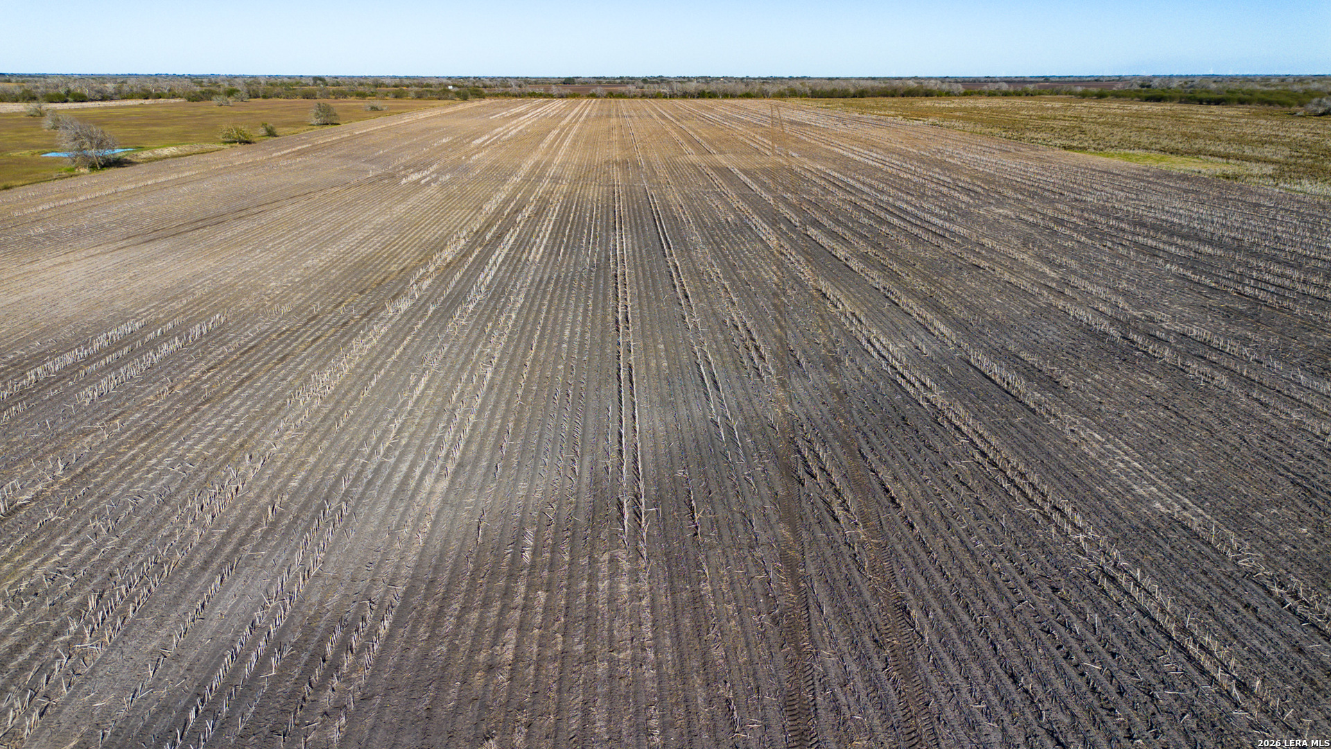 0000 Fm 1349 (39.87 Ac) Skidmore TX 78389