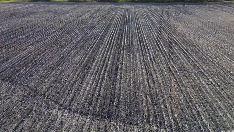 0000 Fm 1349 (39.87 Ac) Skidmore TX 78389