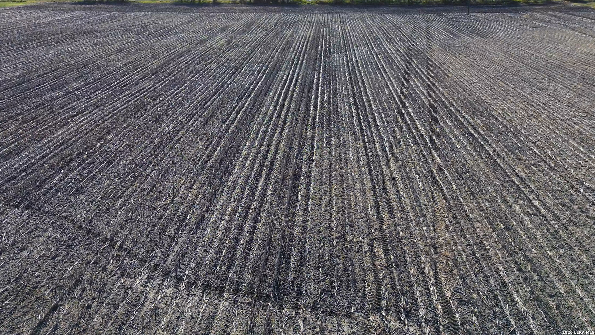 0000 Fm 1349 (39.87 Ac) Skidmore TX 78389