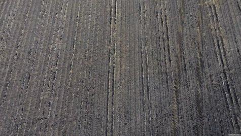 0000 Fm 1349 (39.87 Ac) Skidmore TX 78389