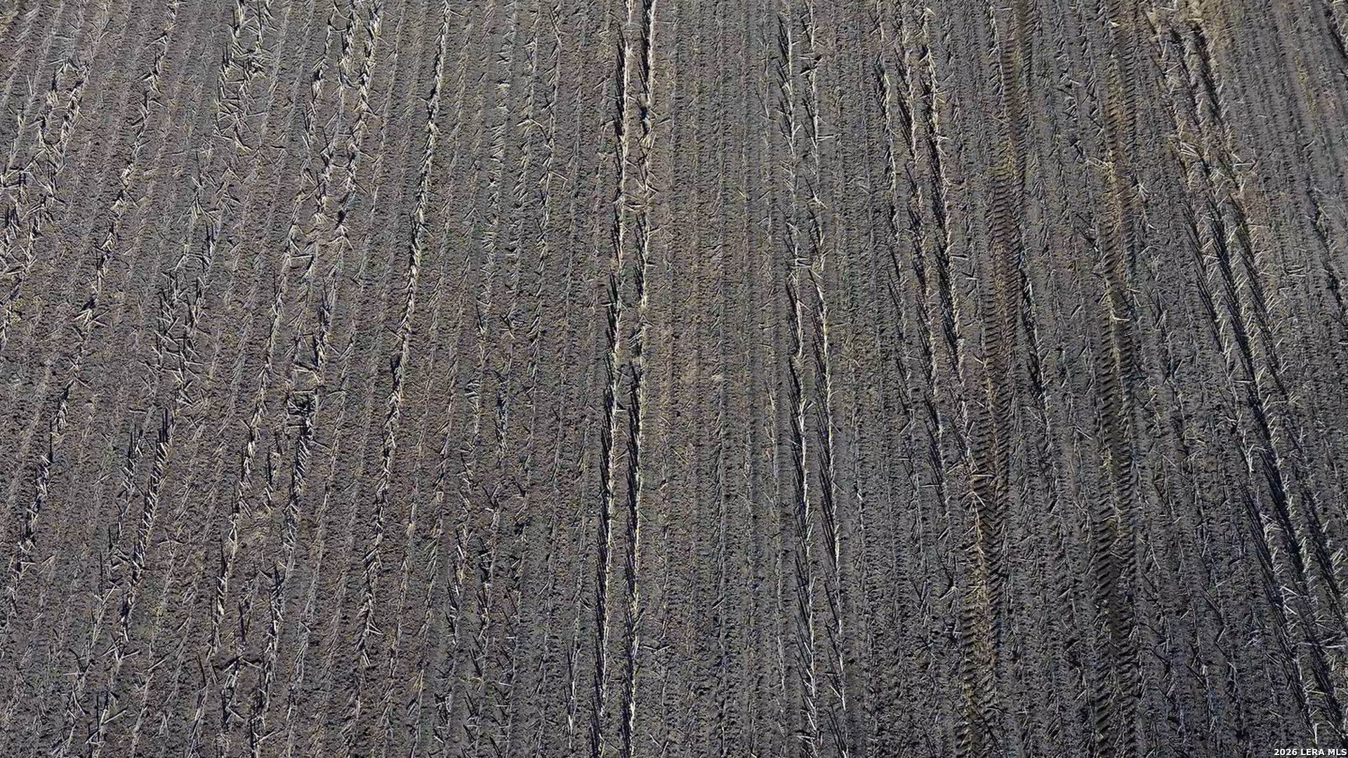 0000 Fm 1349 (39.87 Ac) Skidmore TX 78389