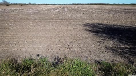 0000 Fm 1349 (39.87 Ac) Skidmore TX 78389