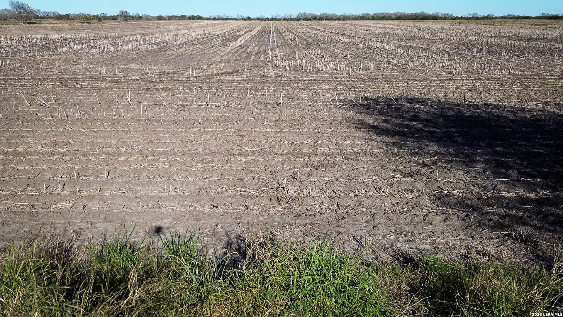 0000 Fm 1349 (39.87 Ac) Skidmore TX 78389