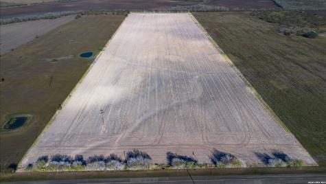 0000 Fm 1349 (39.87 Ac) Skidmore TX 78389