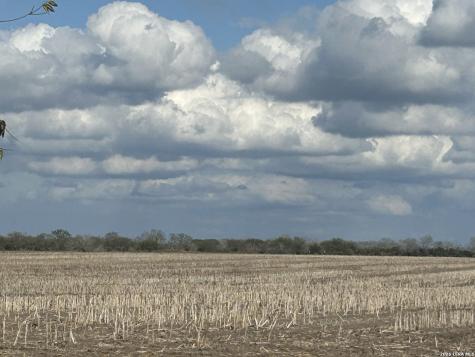 0000 Fm 1349 (39.87 Ac) Skidmore TX 78389