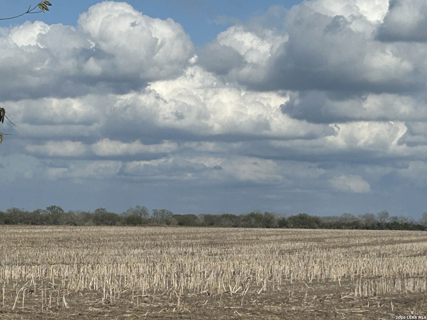 0000 Fm 1349 (39.87 Ac) Skidmore TX 78389