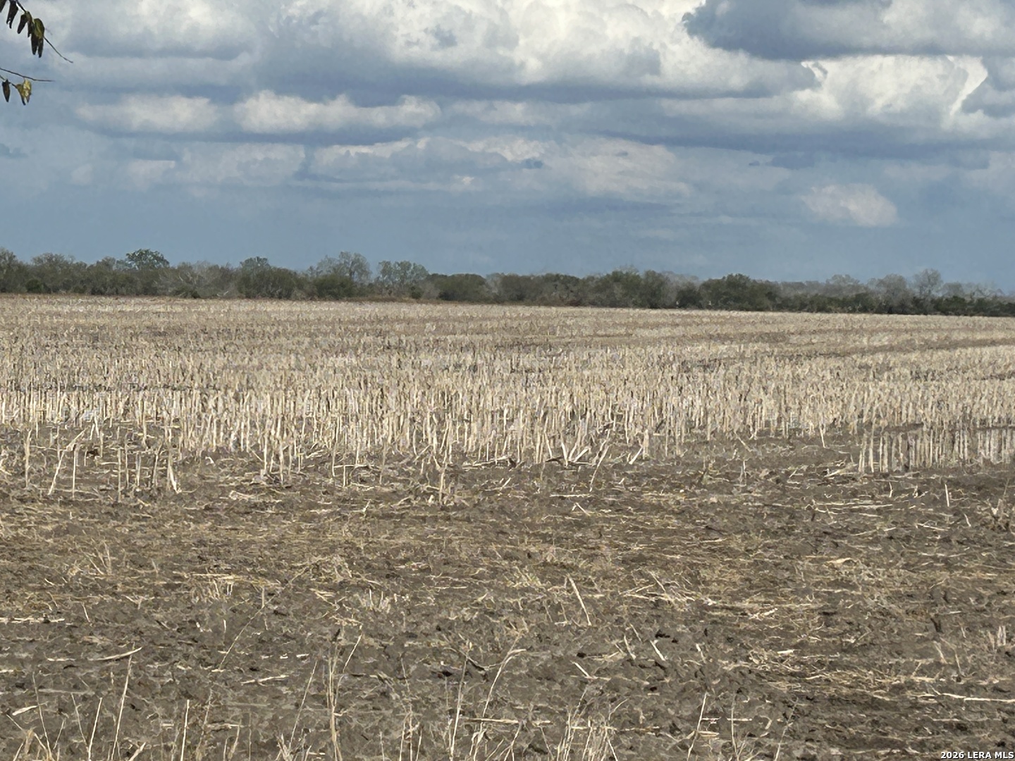 0000 Fm 1349 (39.87 Ac) Skidmore TX 78389